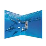 Herma registrator Animals, A4, 70 mm, delfini
